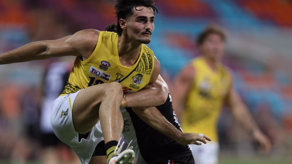 Nightcliff Tigers vs Darwin Buffaloes