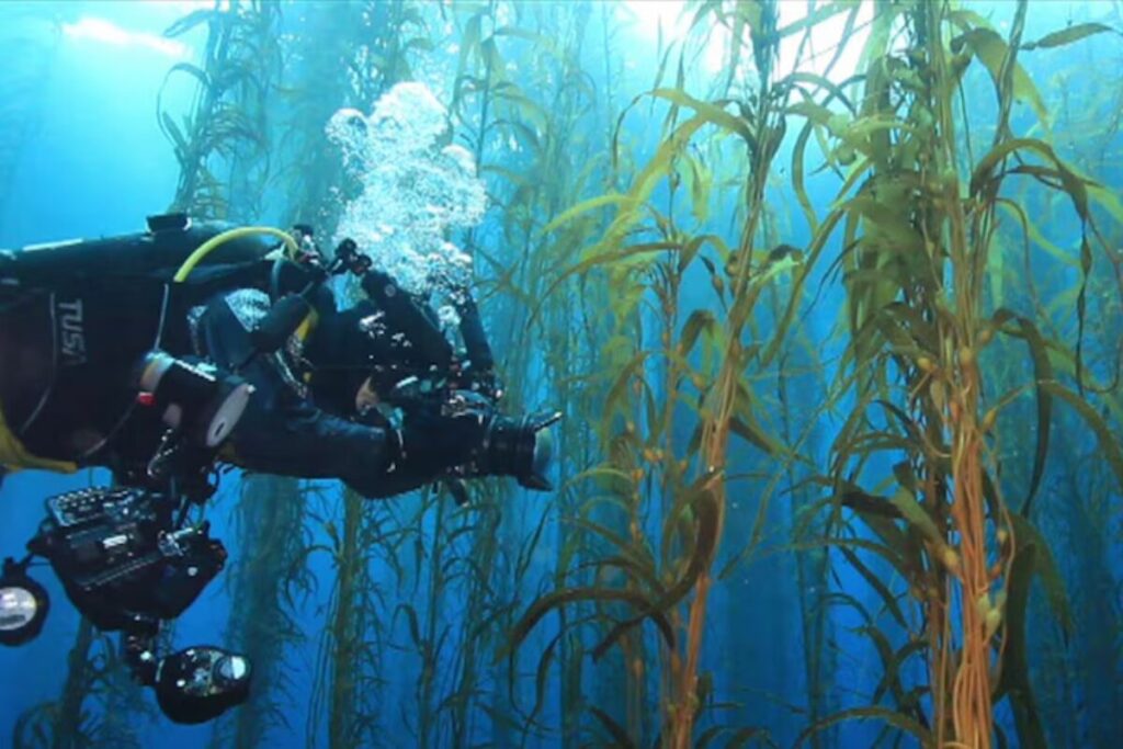 Weekend sport heat risks