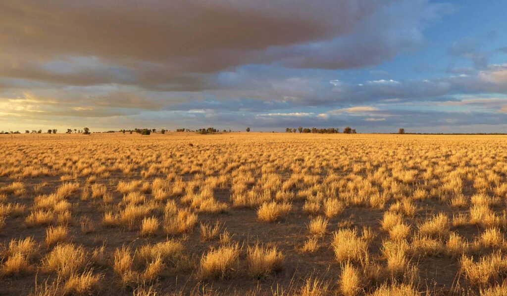 Weekend sport heat risks