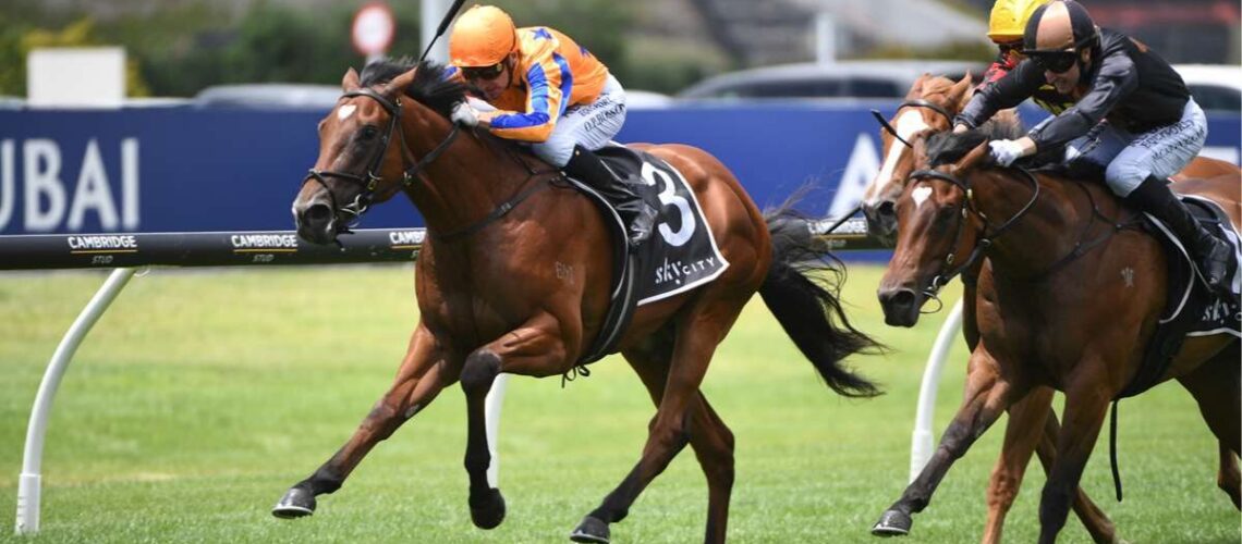 Karaka Millions 2026 filly