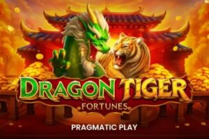 Dragon Tiger Fortunes review